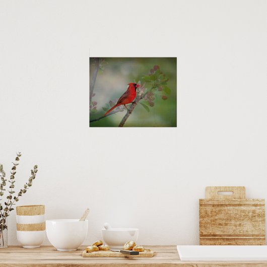 Mooie Mr Cardinaal Poster (Keuken)