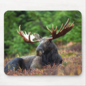 Mooie! Muismat (Voorkant)