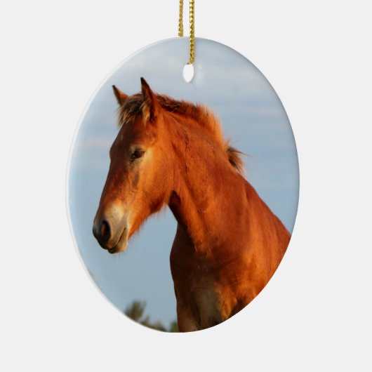 Mooie Mule Horse Keramisch Ornament (Rechts)