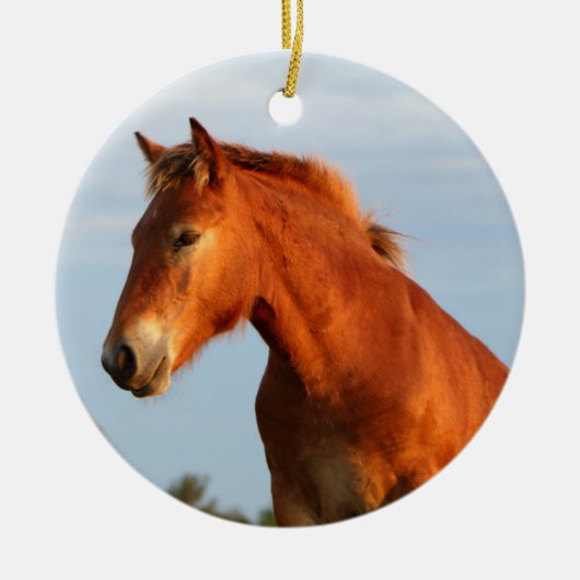 Mooie Mule Horse Keramisch Ornament (Voorkant)