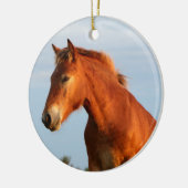 Mooie Mule Horse Keramisch Ornament (Links)