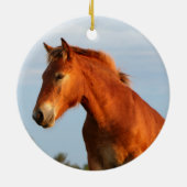 Mooie Mule Horse Keramisch Ornament (Achterkant)