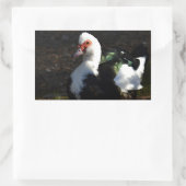 Mooie Muscovy Drakelet Rechthoekige Sticker (Tas)
