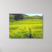 Mooie Mustard Seed Fields California Foto Canvas Afdruk (Voorkant)