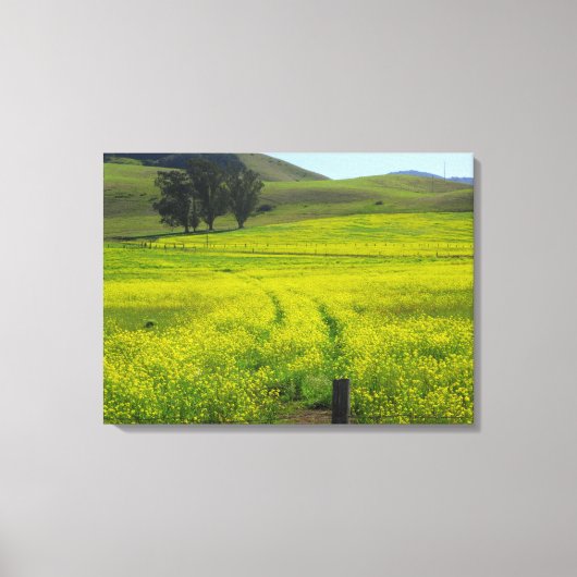 Mooie Mustard Seed Fields California Foto Canvas Afdruk (Voorkant)
