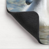 Mooie Mute Swan Ducking Muismat (Hoek)