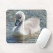 Mooie Mute Swan Ducking Muismat (Met muis)