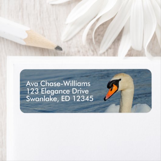 Mooie Mute Swan in Harbour Waters Etiket (Insitu)