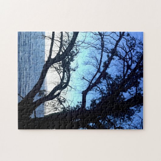 Mooie Mystic Old Tree Ocean Beach Scene Foto Legpuzzel (Horizontaal)