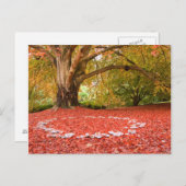 Mooie najaarse Herfst Natuur Fairy Ring Briefkaart (Voorkant / Achterkant)