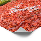 Mooie najaarse Herfst Natuur Fairy Ring Poster (Hoek)