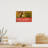 Mooie najaarse Herfst Natuur Fairy Ring Poster (Keuken)