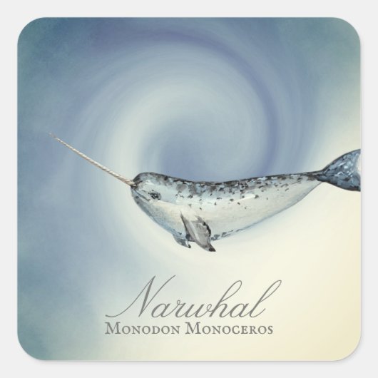 Mooie Narwalvis, Monodon Monoceros Vierkante Sticker (Voorkant)