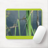 Mooie Natuur: Dragonfly Muismat (Met muis)