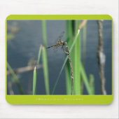 Mooie Natuur: Dragonfly Muismat (Voorkant)