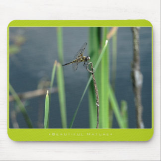Mooie Natuur: Dragonfly Muismat