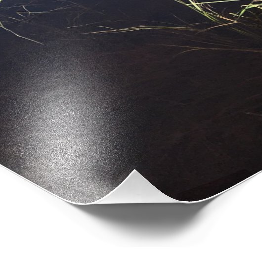 Mooie Natuur Foto Afdruk (Hoek)