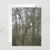 Mooie Natuur I, verzendt het Lelijke Collectie van Briefkaart (Voorkant / Achterkant)