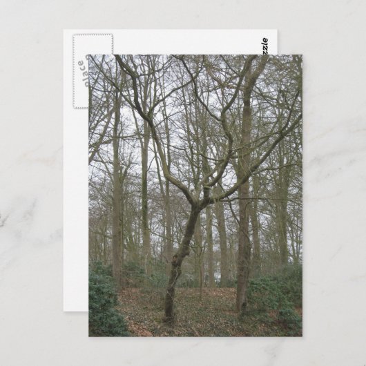 Mooie Natuur I, verzendt het Lelijke Collectie van Briefkaart (Voorkant / Achterkant)