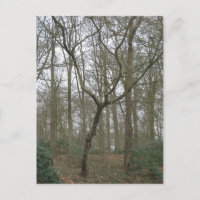 Mooie Natuur I, verzendt het Lelijke Collectie van