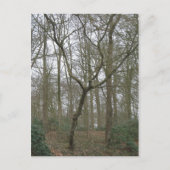 Mooie Natuur I, verzendt het Lelijke Collectie van Briefkaart (Voorkant)