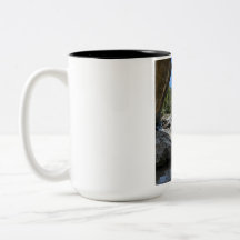 Mooie natuur landschap tweedelig koffiekopje
