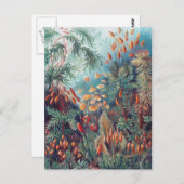 Mooie Natuur - Mosses Briefkaart (Voorkant / Achterkant)