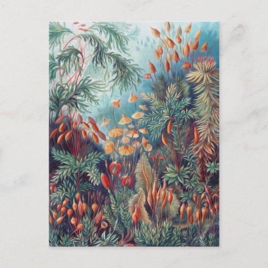 Mooie Natuur - Mosses Briefkaart (Voorkant)