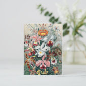 Mooie Natuur - Orchideeën Briefkaart (Staand voorkant)