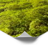 Mooie Natuur Scene uit Noorwegen, avontuur Poster (Hoek)