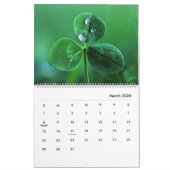 Mooie Natuur Waterdruppels op bloemen Fotografie Kalender (Mar 2026)