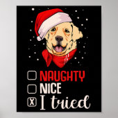 Mooie Naughty, ik heb een gouden kerstrector gepro Poster (Voorkant)
