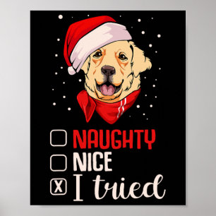 Mooie Naughty, ik heb een gouden kerstrector gepro Poster