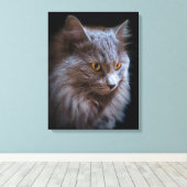 Mooie Nebelung Kat Lang Haar Russisch Blauw Grijs Canvas Afdruk (Insitu (Houten vloer))