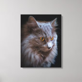 Mooie Nebelung Kat Lang Haar Russisch Blauw Grijs Canvas Afdruk (Voorkant)