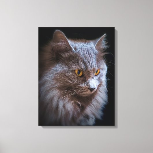 Mooie Nebelung Kat Lang Haar Russisch Blauw Grijs Canvas Afdruk (Voorkant)