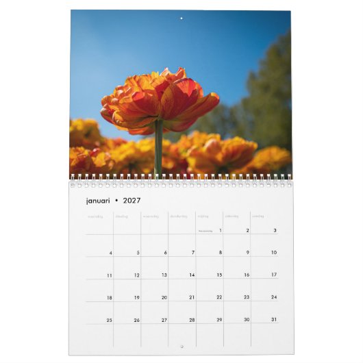 Mooie Nederlandse Tulpen Kalender (Jan 2027)