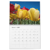 Mooie Nederlandse Tulpen Kalender (Feb 2027)