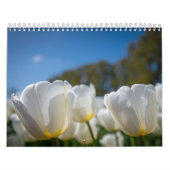 Mooie Nederlandse Tulpen Kalender (Hoes)