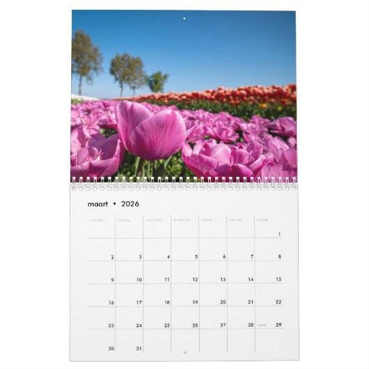 Mooie Nederlandse Tulpen Kalender (Mar 2026)