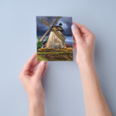 Mooie Nederlandse Windmolen Landschap - Tekening Flyer (Hand)