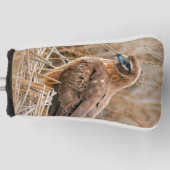 Mooie noordelijke Harrier Hawk in de moerassen Golfheadcover (Voorkant)