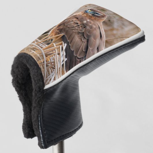 Mooie noordelijke Harrier Hawk in de moerassen Golfheadcover (3/4 voorkant)