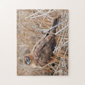 Mooie noordelijke Harrier Hawk in de moerassen Legpuzzel (Verticaal)