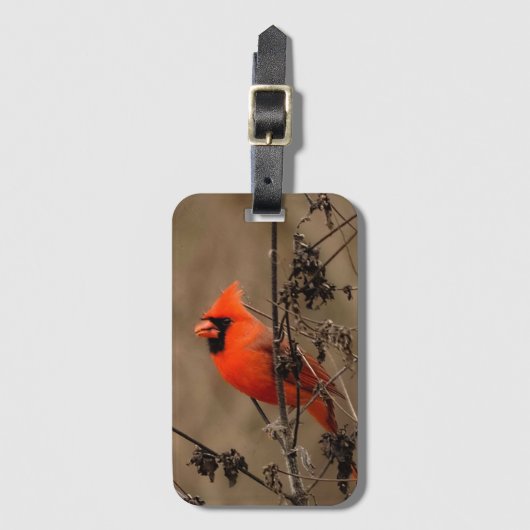 Mooie noordelijke kardinaal bagagelabel (Voorkant (verticaal))