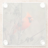 Mooie noordelijke kardinaal glazen onderzetter (Achterkant)