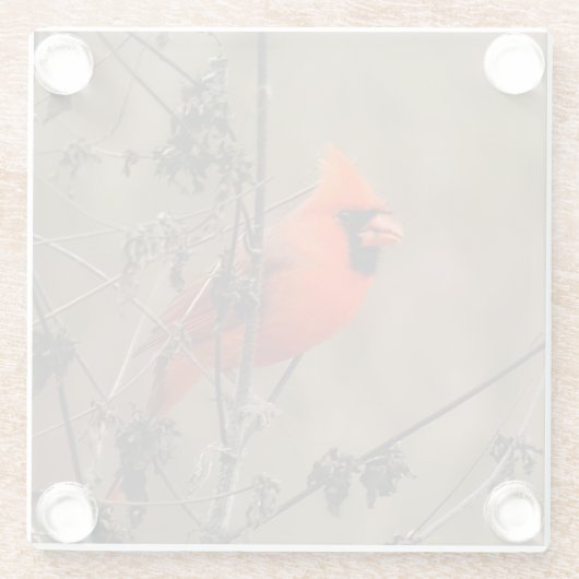 Mooie noordelijke kardinaal glazen onderzetter (Achterkant)