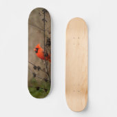 Mooie noordelijke kardinaal persoonlijk skateboard (Voorkant)