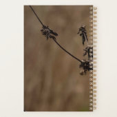 Mooie noordelijke kardinaal planner (Achterkant)