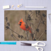 Mooie noordelijke kardinaal tissuepapier (Craft)
